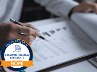 Analyzing Financial Records Icon