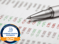 Interpreting Tenant Financial Statements Icon