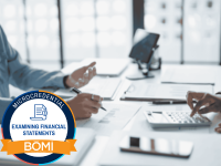 Understanding Financial Audits Icon